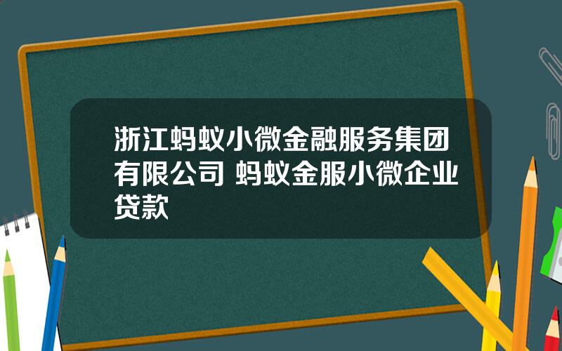 浙江蚂蚁小微金融服务集团有限公司 蚂蚁金服小微企业贷款